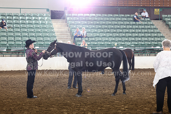 R322_CH_Thurs_2361