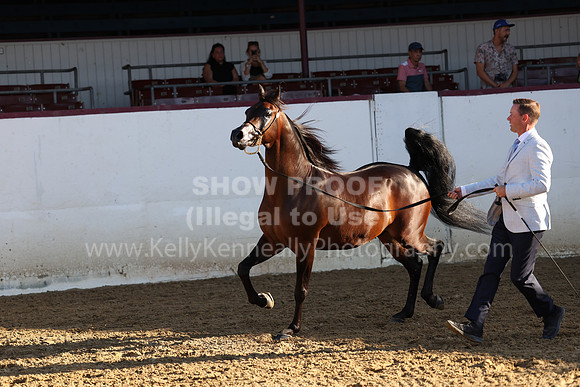 R2_22_Thurs_6782