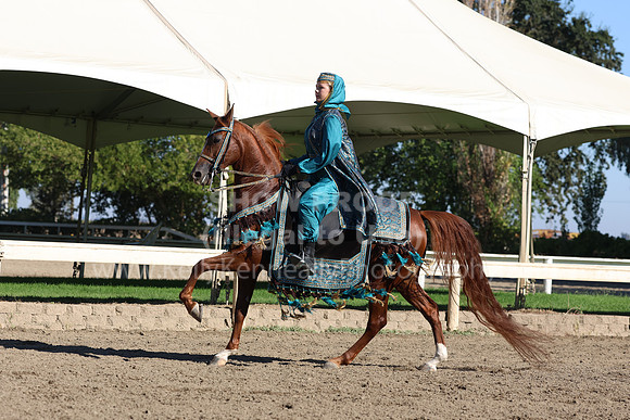DAHA_FF22_4046