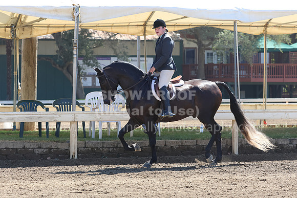 DAHA_FF22_4885