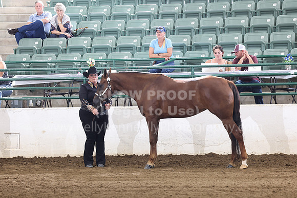 R322_CH_Thurs_2704