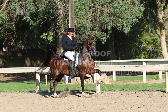 DAHA_FF22_1731