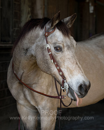 Kellie&Dusty22_0177