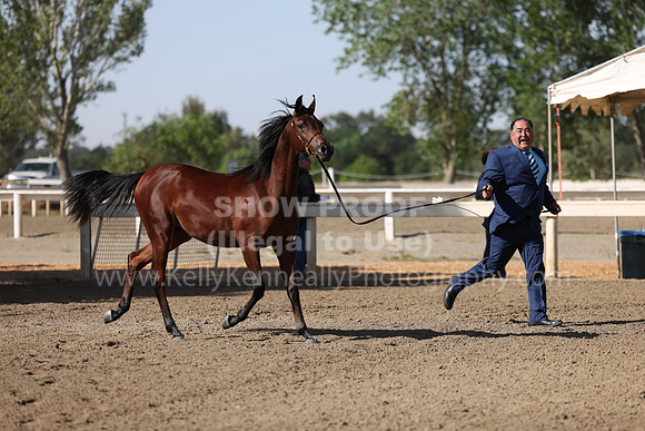 DAHA22_Fri_1589
