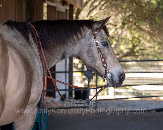 Kellie&Dusty22_0119