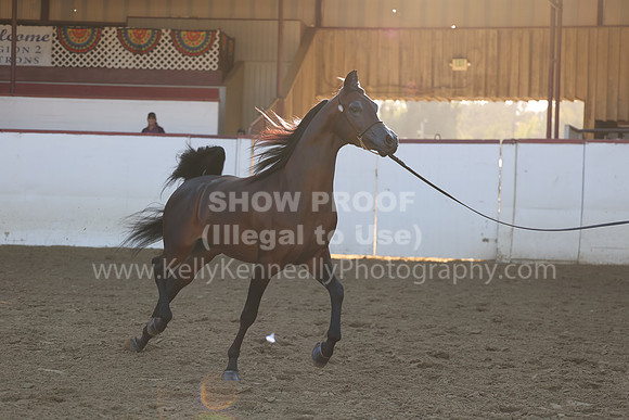 R2_22_Thurs_6604