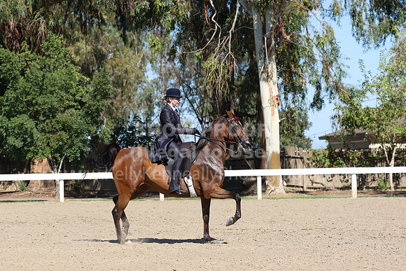 DAHA_FF22_1342