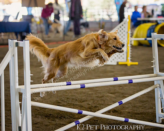 SCAC_Nov17Day3_8888