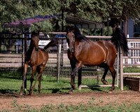 SweetSugar&SpiceRS_0822_0065HiRes