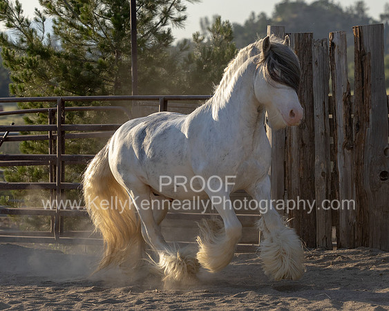 ThunderMay25_3048