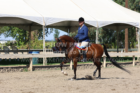 DAHA_FF22_5190