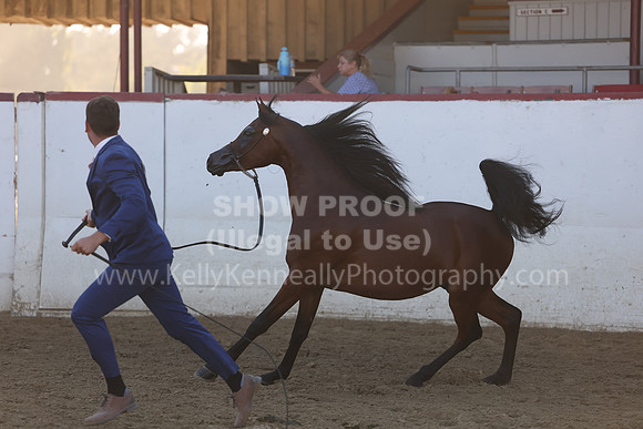 R2_22_Thurs_6408