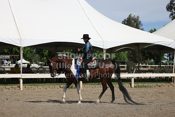 DAHA22_Thurs_0767