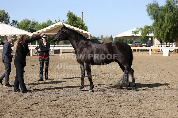 DAHA22_Fri_1452