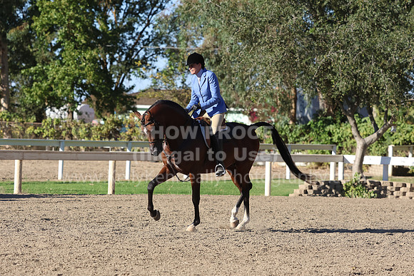 DAHA_FF22_3510