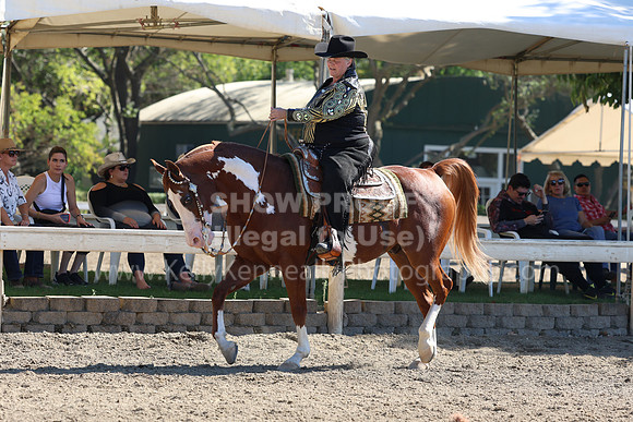 DAHA_FF22_1374