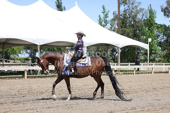 DAHA22_Thurs_0987