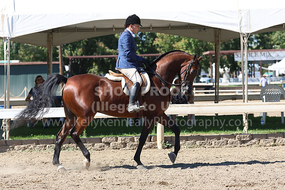 DAHA_FF22_5183