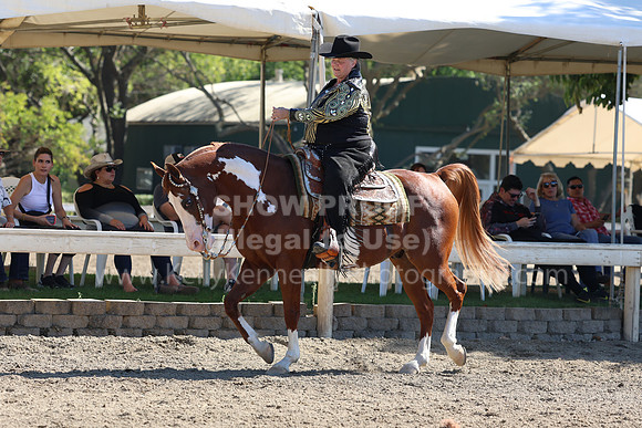 DAHA_FF22_1373
