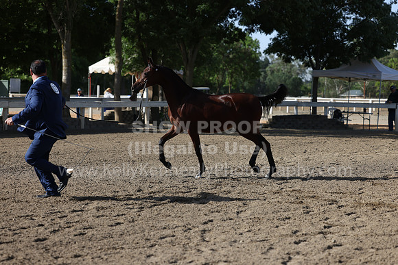 DAHA22_Fri_1495