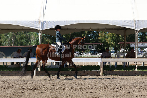 DAHA_FF22_3151