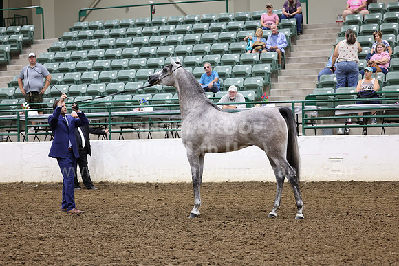 R322_CH _Fri_Class299_4907