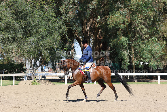 DAHA_FF22_5185