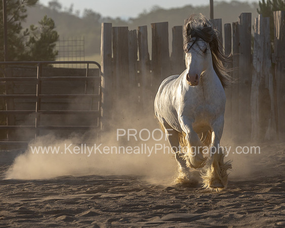 ThunderMay25_3663