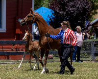 ShermanRanch0524_1675