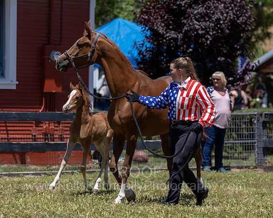 ShermanRanch0524_1675
