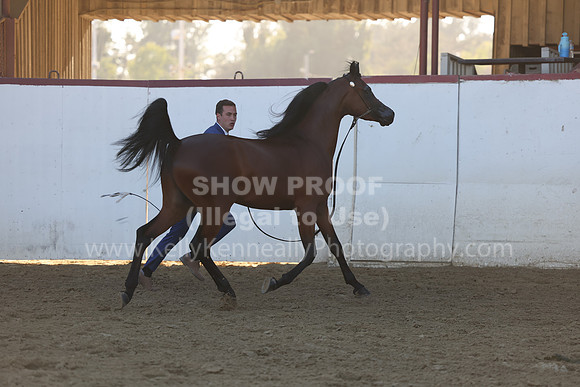 R2_22_Thurs_6226