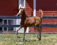 ShermanRanch0524_0724