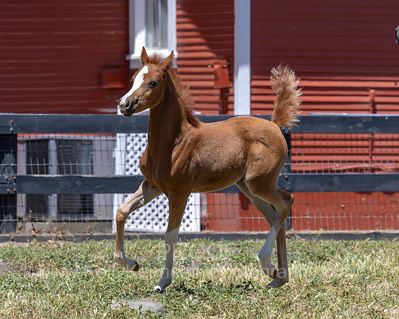 ShermanRanch0524_0724
