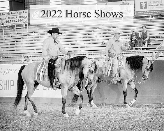 2022HorseShowCover