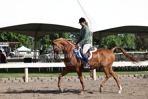 DAHA22_Thurs_0375