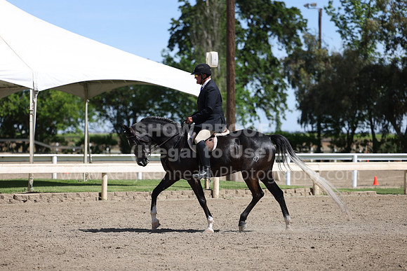 DAHA22_Thurs_0776