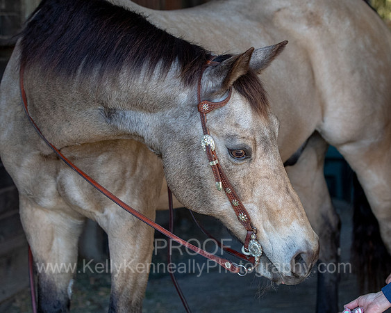 Kellie&Dusty22_0201
