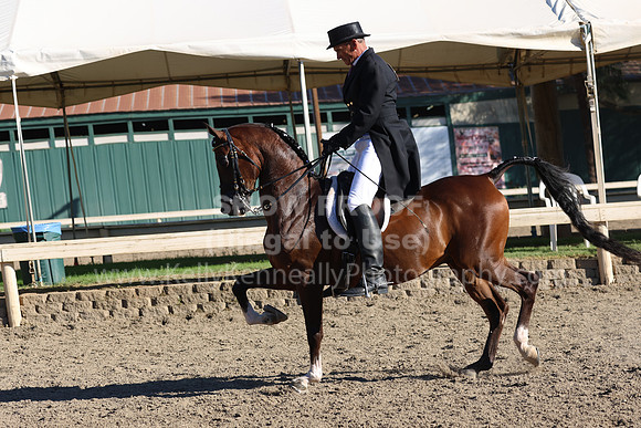 DAHA_FF22_1715