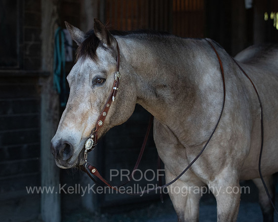 Kellie&Dusty22_0061