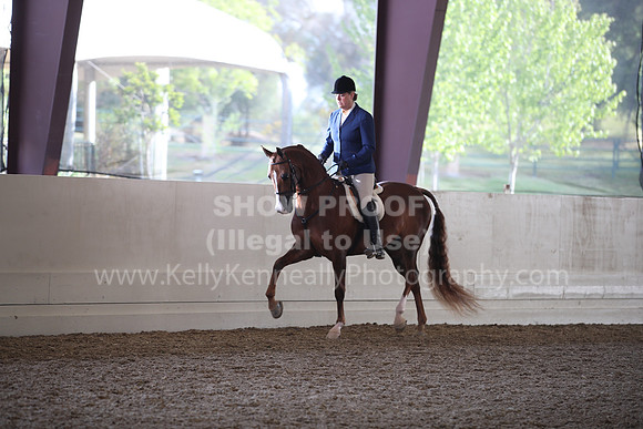 AHANC22_WedAM_0087