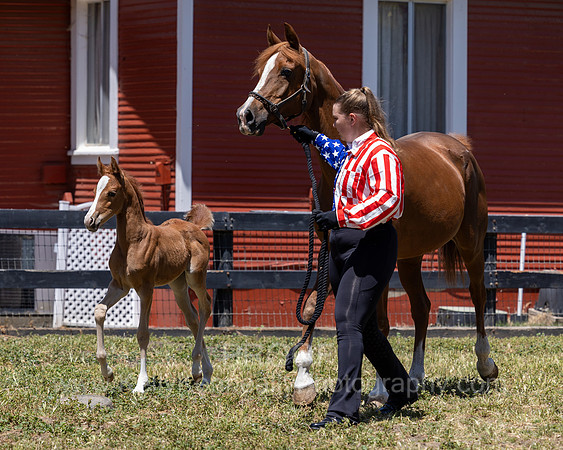 ShermanRanch0524_1938