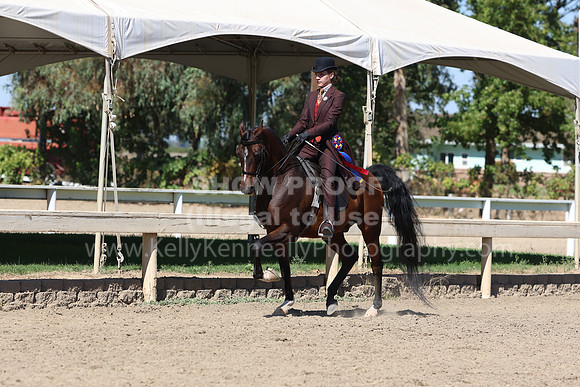 DAHA_FF22_5299