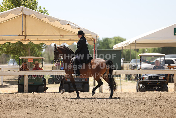 DAHA22_Fri_1932