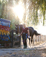 HodgesRibbons24_4050
