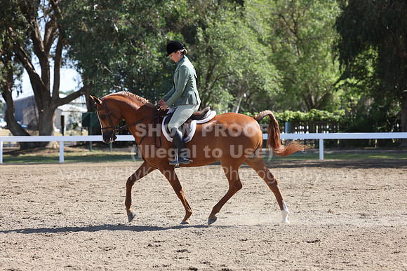 DAHA22_Sun_3311