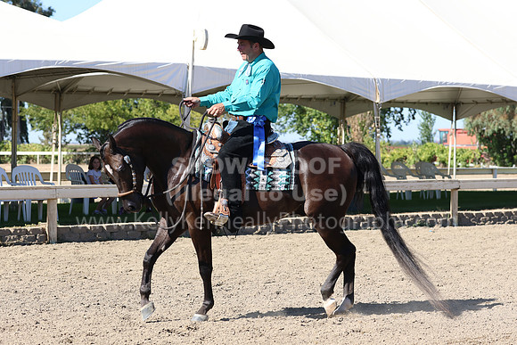 DAHA_FF22_1418