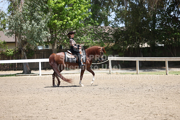 DAHA22_Fri_2013