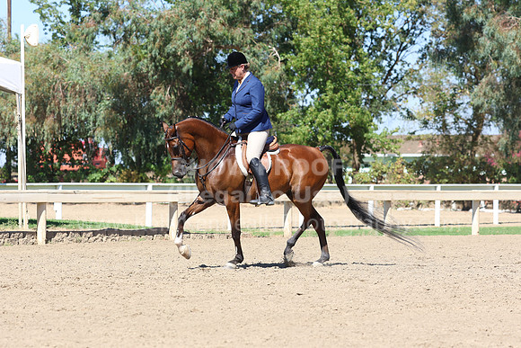 DAHA_FF22_5178