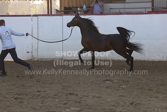 R2_22_Thurs_6747