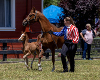 ShermanRanch0524_1681